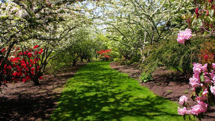 Darts Hill Garden Park, Surrey, Canada, Canada